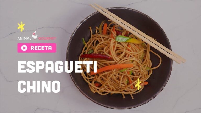 Guía Práctica para Hacer Espagueti Chino Perfecto