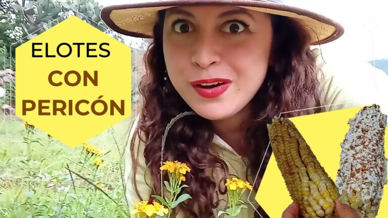 Deliciosos Pericones para Elotes: Una Receta Irresistible