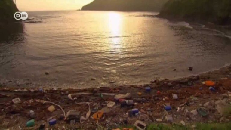 Acciones Efectivas para Abandonar las Bolsas de Pl&aacute;stico