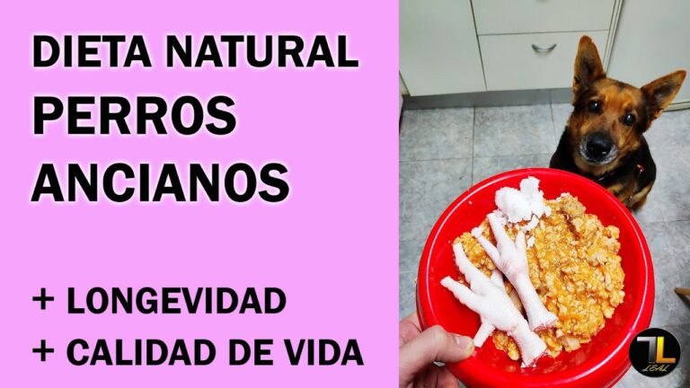 Croquetas Especiales para Perros Mayores