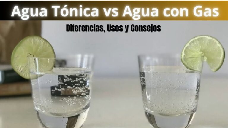 Diferencias Clave entre Agua Tónica y Agua Mineral: ¿Cuál Debes Elegir ...