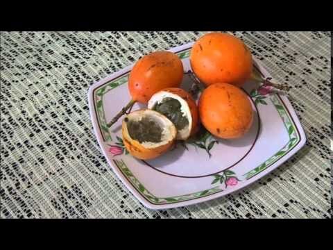 Beneficios de la Granada China