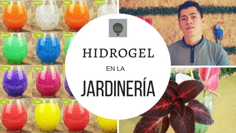 Bolitas de Gel para Plantas: ¿Son Tóxicas?