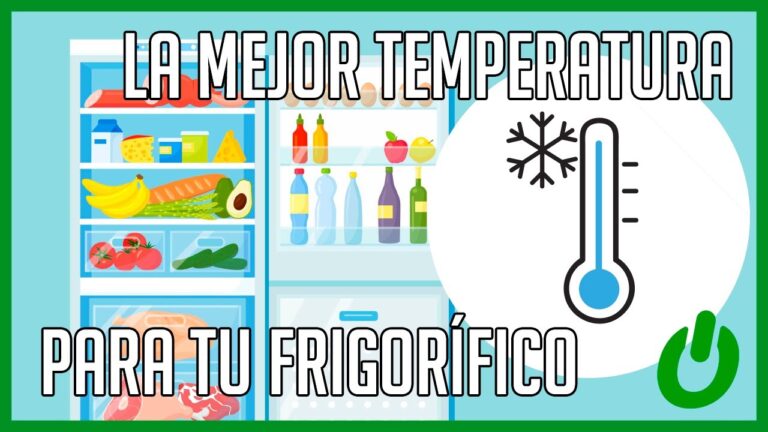 Temperatura Ideal de un Refrigerador