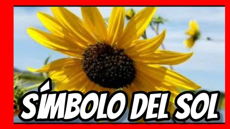 El Significado de los Girasoles en el Amor