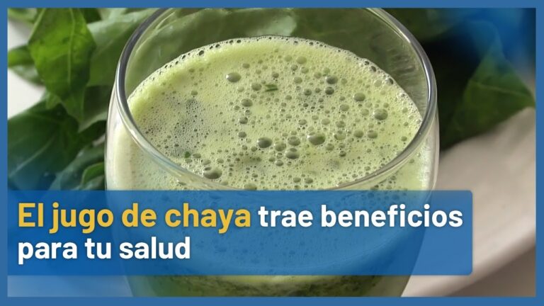 Beneficios del Agua de Chaya: ¿Para Qué Sirve?