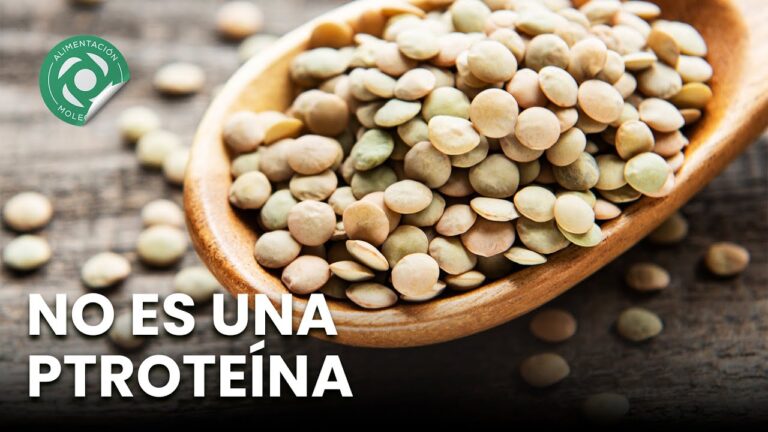 Beneficios del Plato de Lentejas: Alta Proteína y Saludable