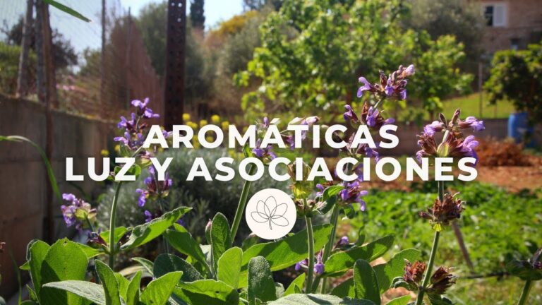 Gu&iacute;a de Flores Arom&aacute;ticas de Sombra