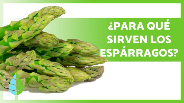 Beneficios de los Esp&aacute;rragos para la Salud