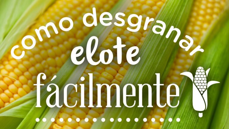Cómo desgranarlo: Guía práctica para el elote
