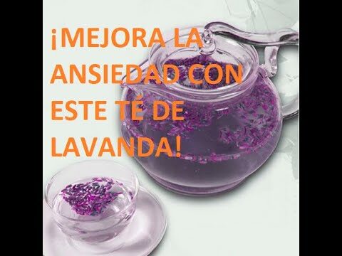 Cómo Preparar Té de Lavanda de Manera Perfecta