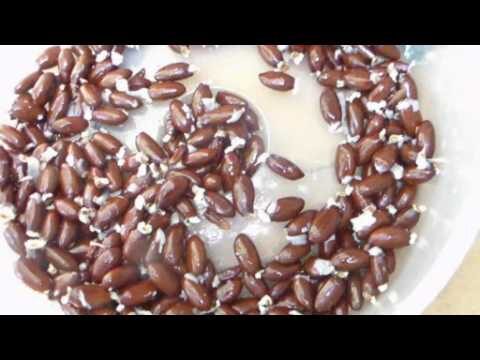 Beneficios y usos de la fruta lichi