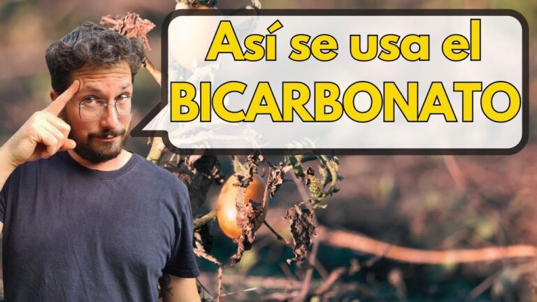 Beneficios del bicarbonato para las plantas