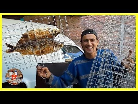 Zaranda para Pescado: Eficiencia y Versatilidad en la Pesca