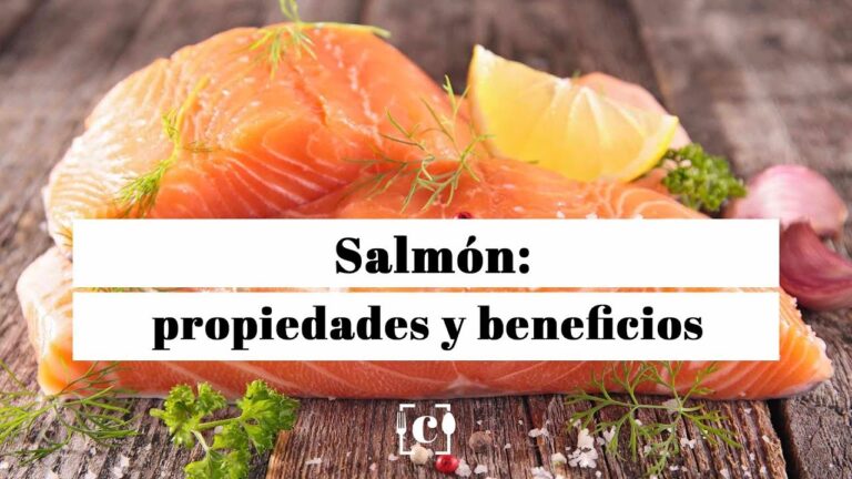 Beneficios y Propiedades del Salm&oacute;n