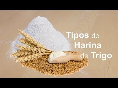 &iquest;Qu&eacute; es la harina de trigo y sus usos?