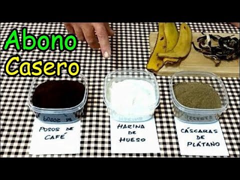 Abono Casero Efectivo para Plantas en Macetas